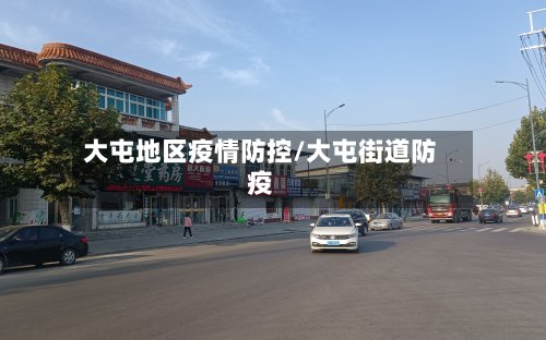 大屯地区疫情防控/大屯街道防疫