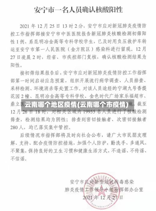 云南哪个地区疫情(云南哪个市疫情)-第3张图片