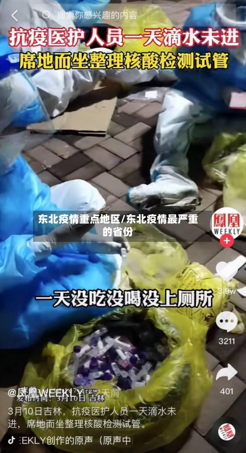 东北疫情重点地区/东北疫情最严重的省份