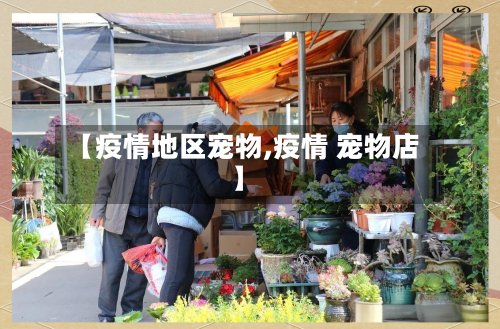 【疫情地区宠物,疫情 宠物店】-第2张图片