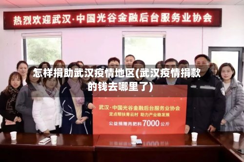 怎样捐助武汉疫情地区(武汉疫情捐款的钱去哪里了)