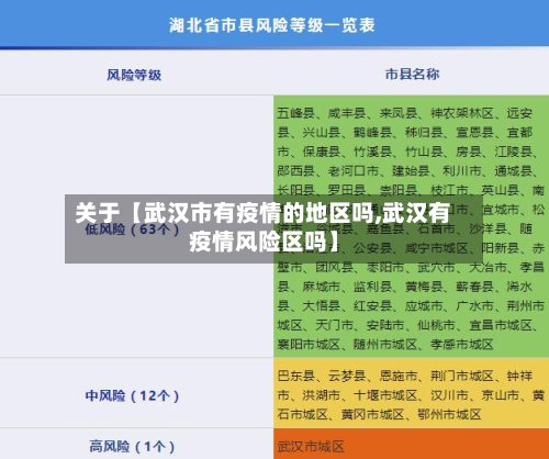 关于【武汉市有疫情的地区吗,武汉有疫情风险区吗】-第2张图片