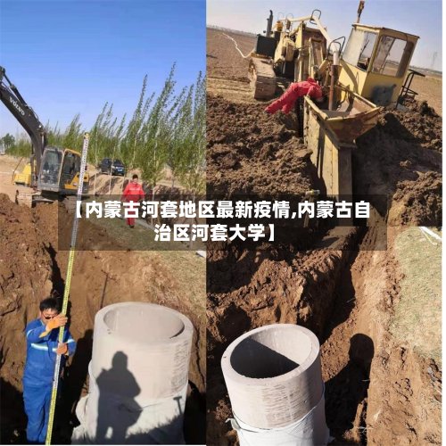 【内蒙古河套地区最新疫情,内蒙古自治区河套大学】-第2张图片