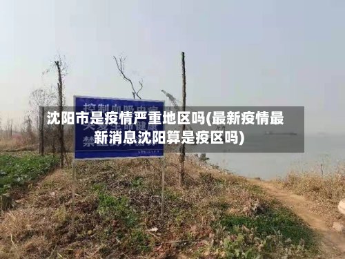 沈阳市是疫情严重地区吗(最新疫情最新消息沈阳算是疫区吗)