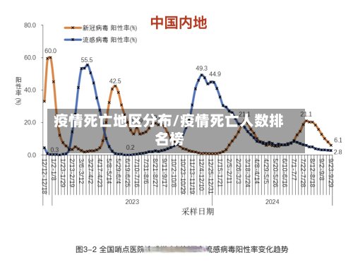 疫情死亡地区分布/疫情死亡人数排名榜