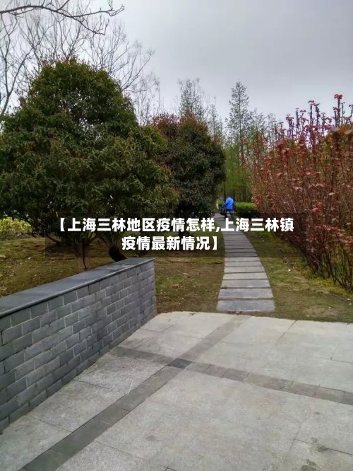 【上海三林地区疫情怎样,上海三林镇疫情最新情况】-第2张图片