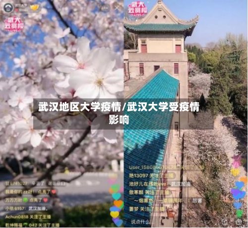 武汉地区大学疫情/武汉大学受疫情影响-第2张图片