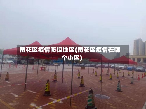 雨花区疫情防控地区(雨花区疫情在哪个小区)-第3张图片