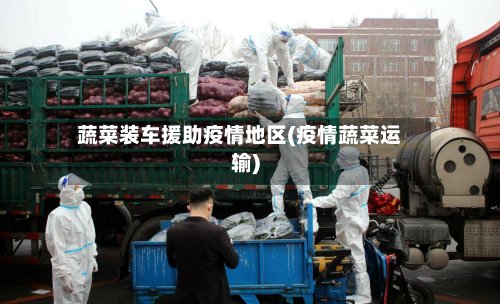 蔬菜装车援助疫情地区(疫情蔬菜运输)