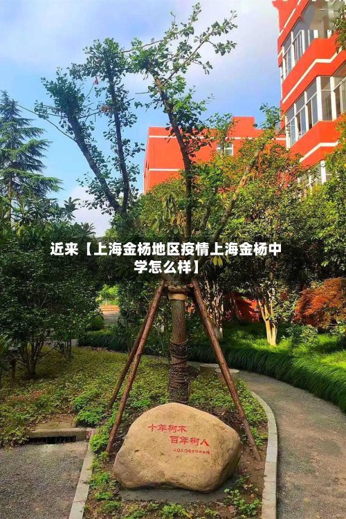 近来【上海金杨地区疫情上海金杨中学怎么样】