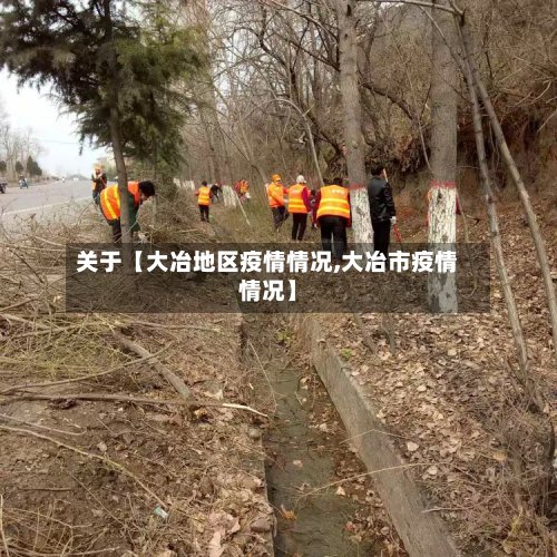 关于【大冶地区疫情情况,大冶市疫情情况】
