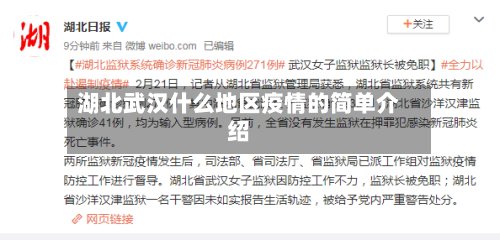 湖北武汉什么地区疫情的简单介绍