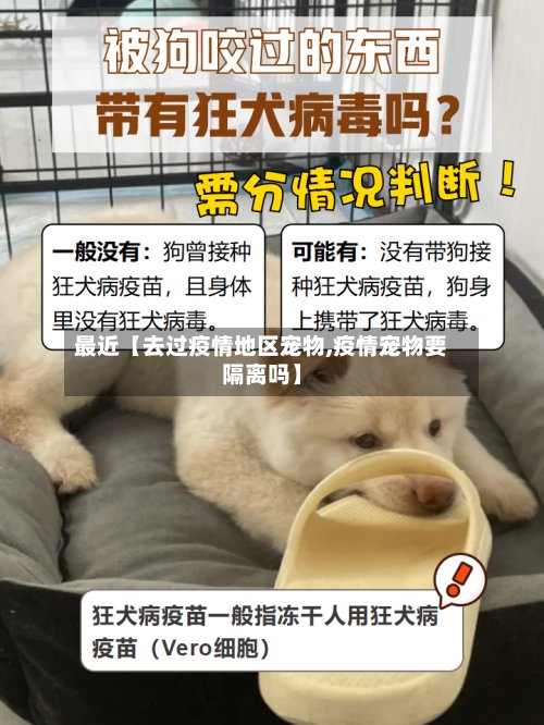 最近【去过疫情地区宠物,疫情宠物要隔离吗】
