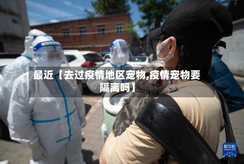 最近【去过疫情地区宠物,疫情宠物要隔离吗】-第2张图片