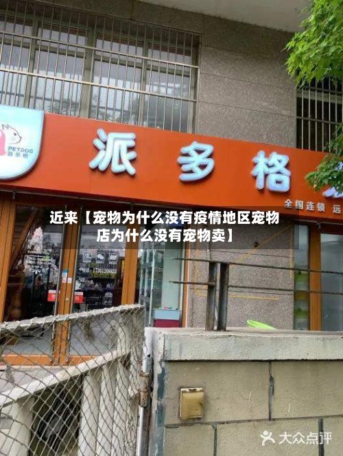 近来【宠物为什么没有疫情地区宠物店为什么没有宠物卖】
