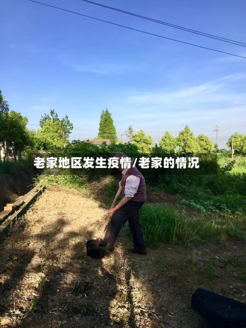 老家地区发生疫情/老家的情况-第2张图片