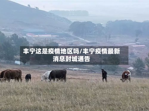 丰宁这是疫情地区吗/丰宁疫情最新消息封城通告