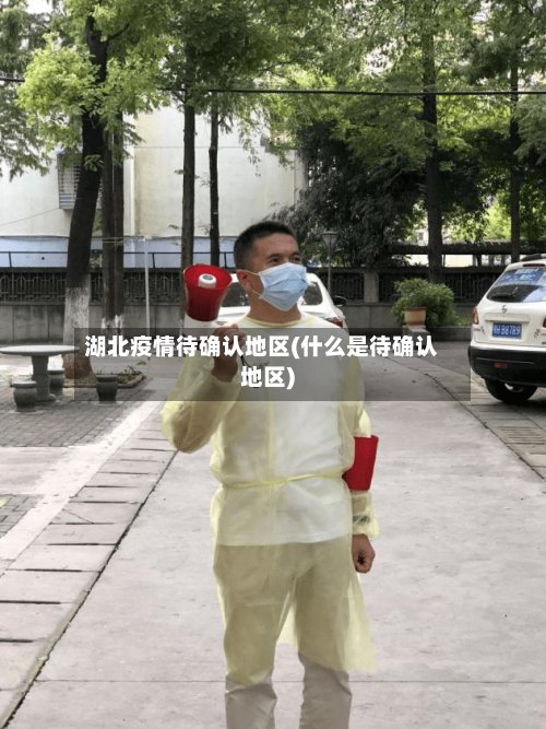 湖北疫情待确认地区(什么是待确认地区)-第2张图片