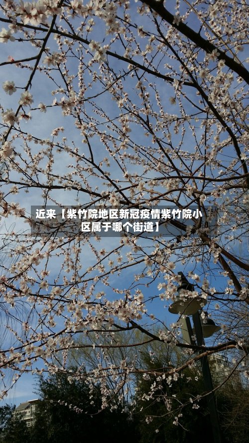 近来【紫竹院地区新冠疫情紫竹院小区属于哪个街道】-第3张图片