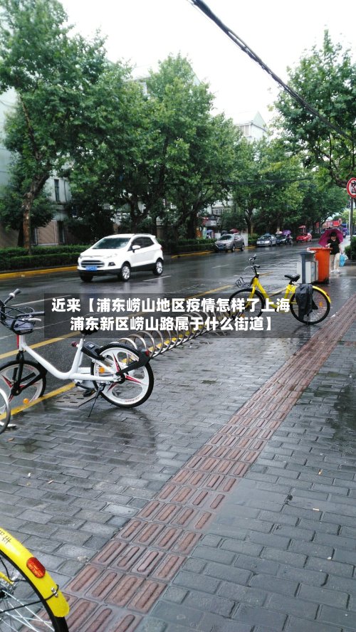 近来【浦东崂山地区疫情怎样了上海浦东新区崂山路属于什么街道】-第3张图片