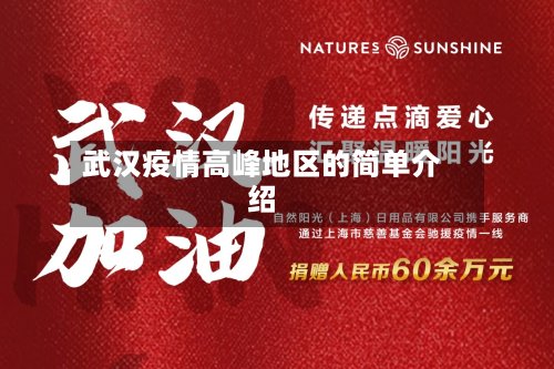 武汉疫情高峰地区的简单介绍-第3张图片