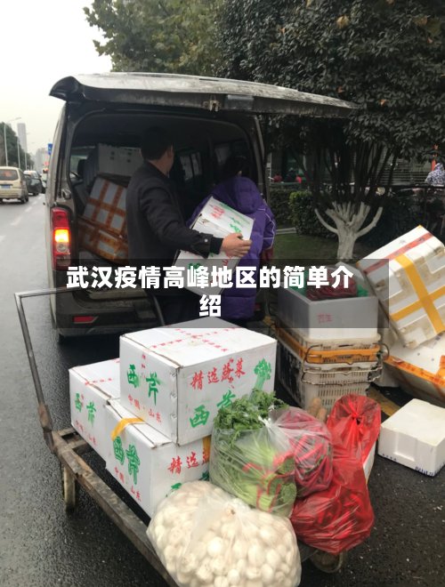 武汉疫情高峰地区的简单介绍-第2张图片