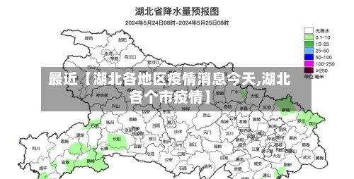 最近【湖北各地区疫情消息今天,湖北各个市疫情】-第2张图片
