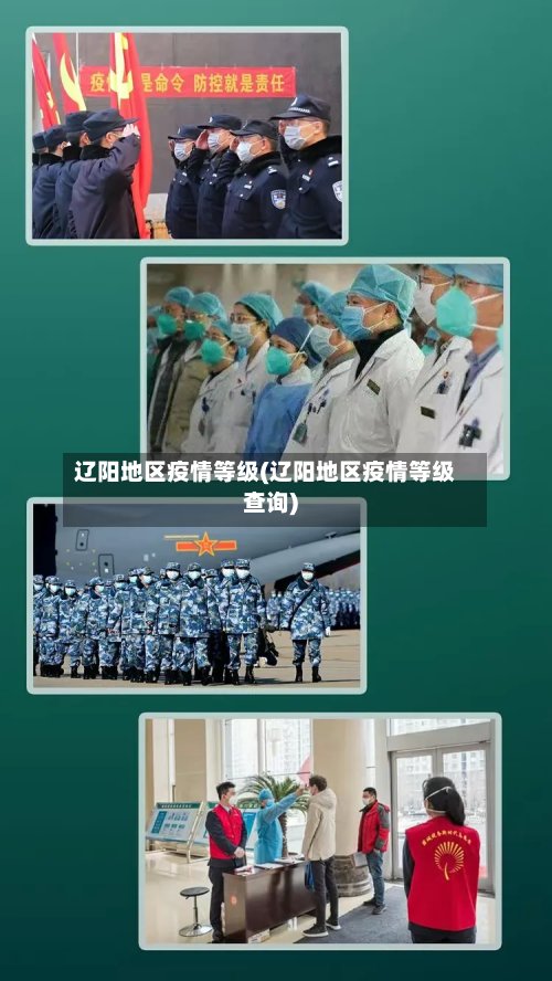 辽阳地区疫情等级(辽阳地区疫情等级查询)