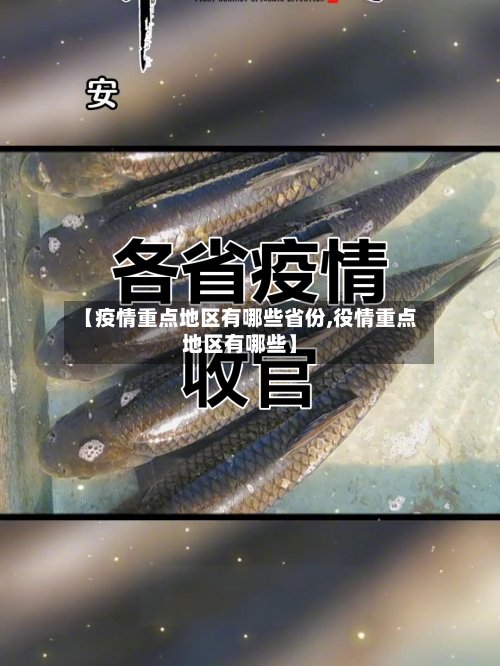 【疫情重点地区有哪些省份,役情重点地区有哪些】-第2张图片