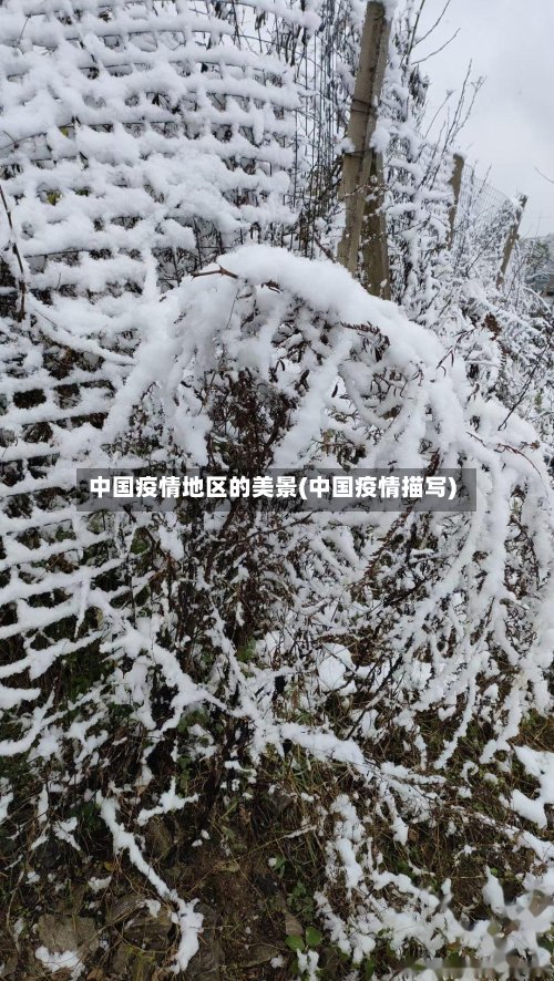 中国疫情地区的美景(中国疫情描写)-第2张图片