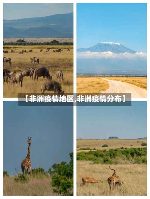 【非洲疫情地区,非洲疫情分布】