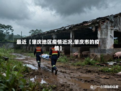 最近【肇庆地区疫情近况,肇庆市的疫情】-第2张图片