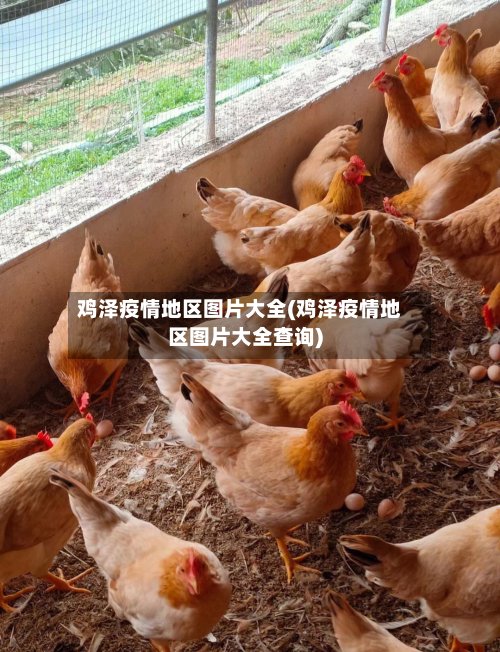 鸡泽疫情地区图片大全(鸡泽疫情地区图片大全查询)-第3张图片