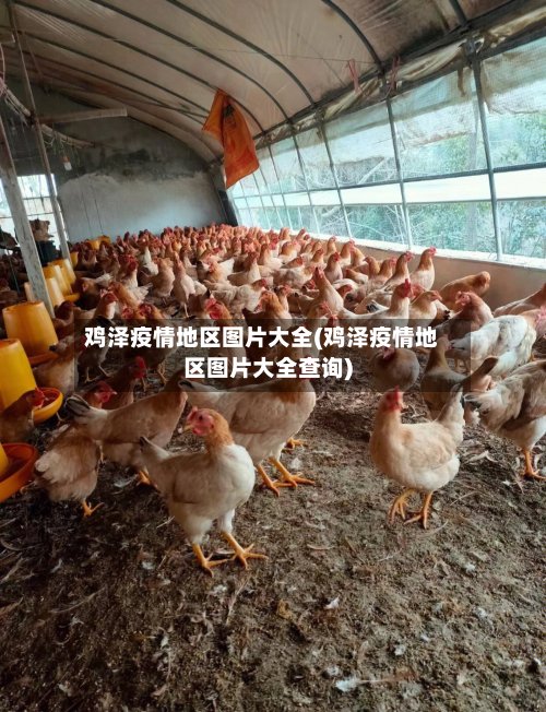 鸡泽疫情地区图片大全(鸡泽疫情地区图片大全查询)-第2张图片