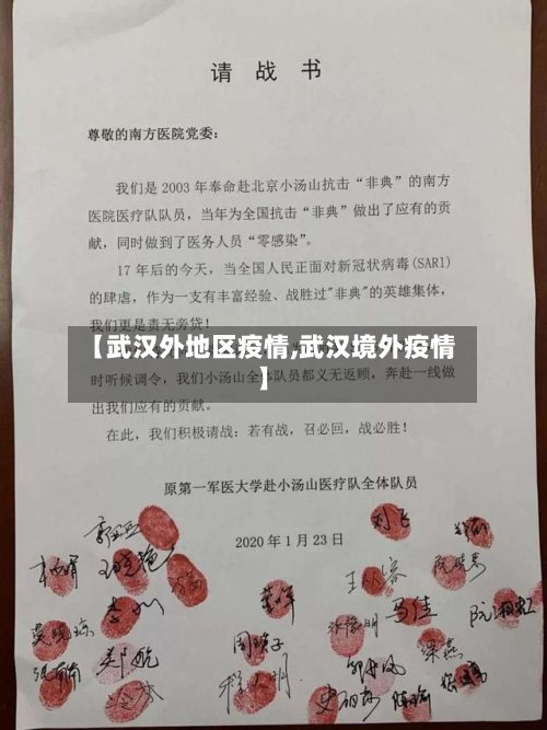 【武汉外地区疫情,武汉境外疫情】-第2张图片
