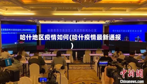 哈什地区疫情如何(哈什疫情最新通报)-第2张图片