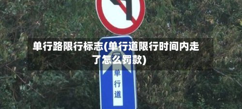 单行路限行标志(单行道限行时间内走了怎么罚款)