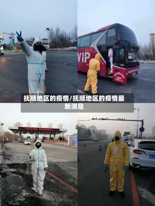 抚顺地区的疫情/抚顺地区的疫情最新消息-第2张图片