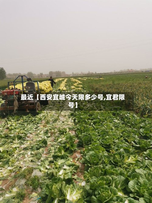 最近【西安宜城今天限多少号,宜君限号】