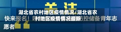 湖北省农村地区疫情情况/湖北省农村地区疫情情况最新