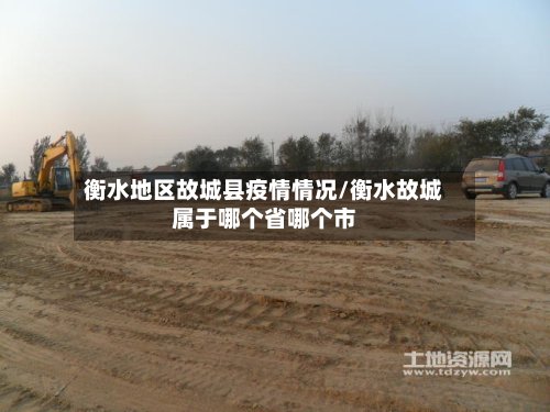 衡水地区故城县疫情情况/衡水故城属于哪个省哪个市-第3张图片