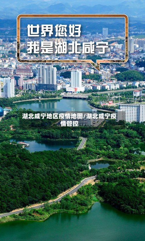 湖北咸宁地区疫情地图/湖北咸宁疫情管控-第3张图片