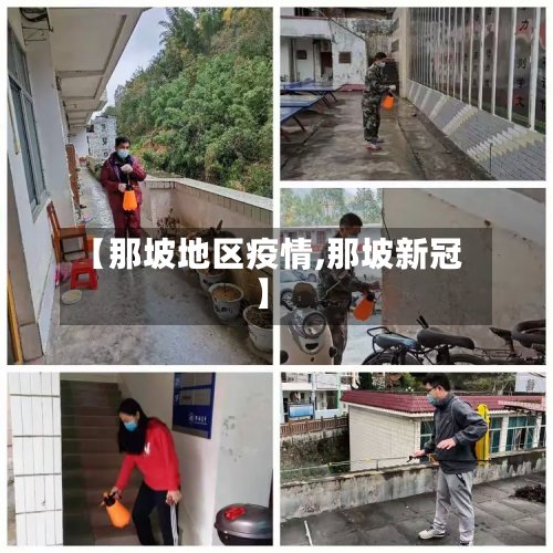 【那坡地区疫情,那坡新冠】