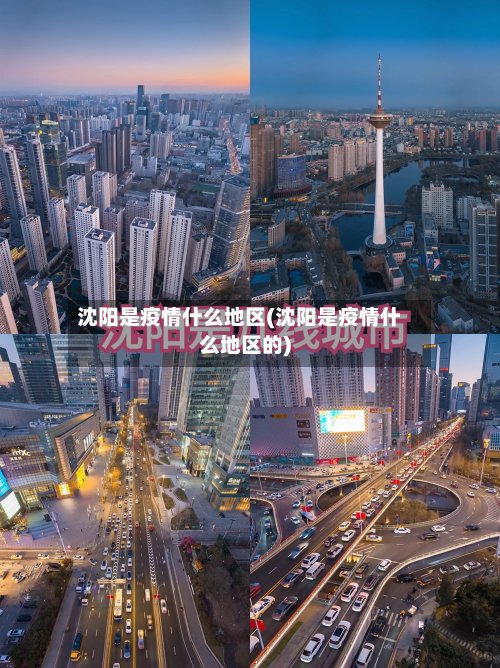 沈阳是疫情什么地区(沈阳是疫情什么地区的)-第2张图片