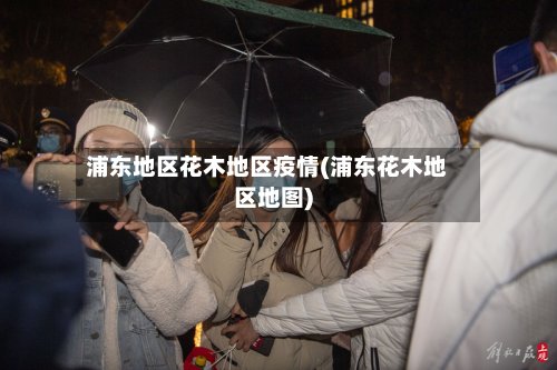 浦东地区花木地区疫情(浦东花木地区地图)-第2张图片