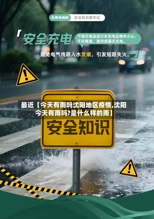 最近【今天有雨吗沈阳地区疫情,沈阳今天有雨吗?是什么样的雨】-第2张图片