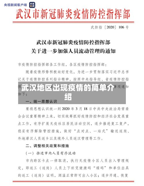 武汉地区出现疫情的简单介绍