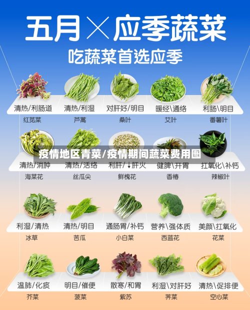疫情地区青菜/疫情期间蔬菜费用图