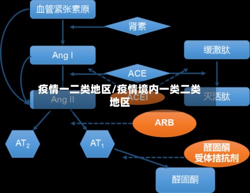 疫情一二类地区/疫情境内一类二类地区-第2张图片