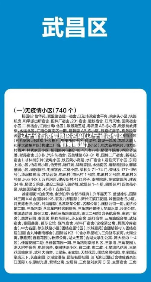 辽宁省有疫情地区名单(辽宁省疫情区都有哪里)-第2张图片